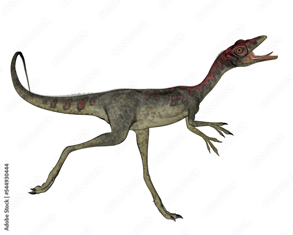 Compsognathus dinosaur running - 3D render Compsognathus dinosaur running - 3D render