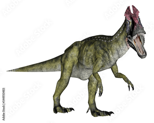 Cryolophosaurus dinosaur walking - 3D render © Elenarts