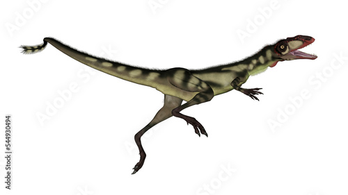 Dilong dinosaur jumping - 3D render © Elenarts