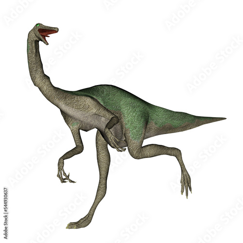 Gallimimus dinosaur walking - 3D render