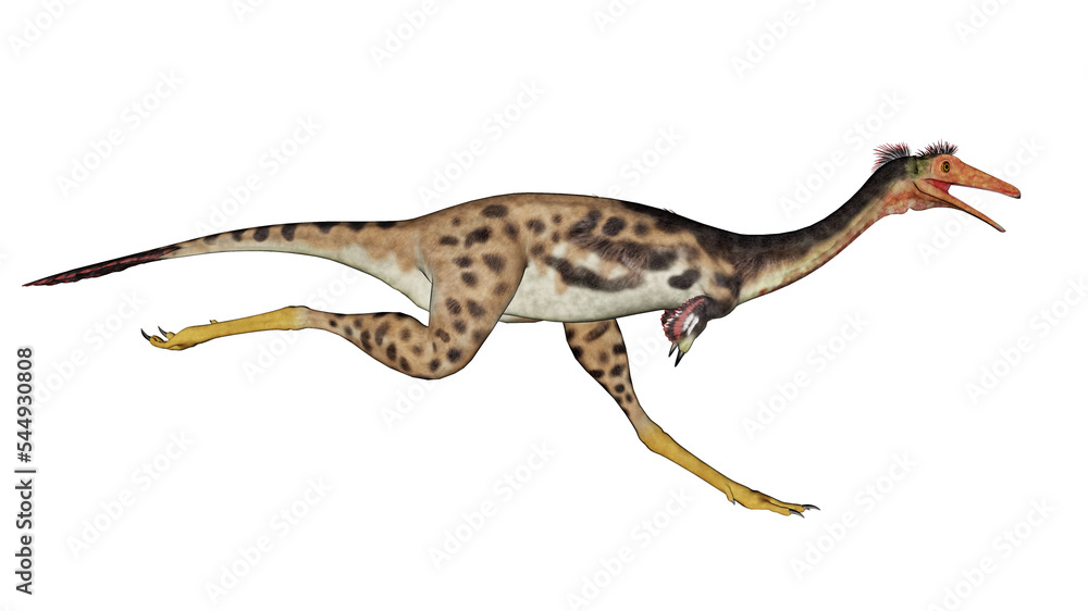 Fototapeta premium Mononykus dinosaur running - 3D render