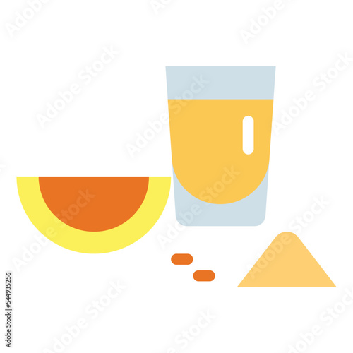 tequila flat icon style
