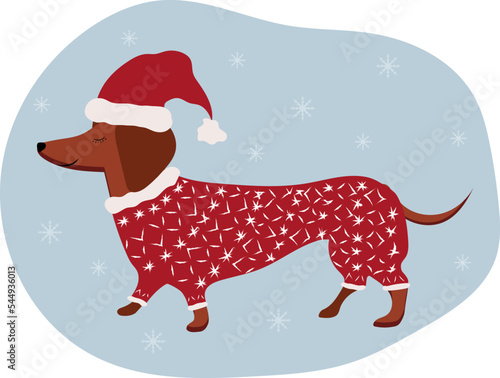 Dog dressed as Santa. Dachshund. Christmas card. High quality vector illustration.