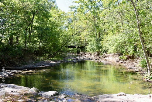 The quiet creek in the forest on a sunny day.