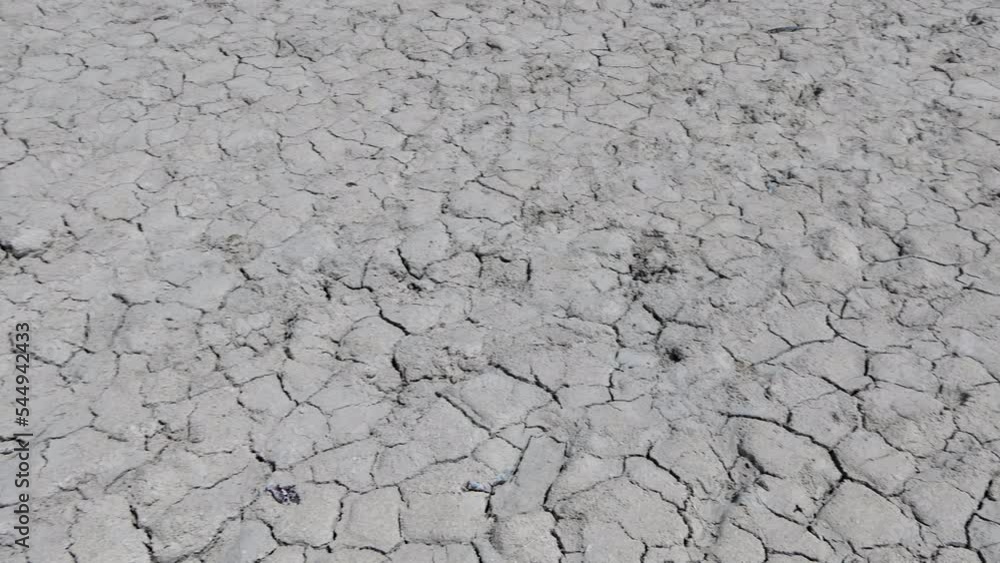 Dried mud on beach at Rio Lagartos Biosphere Reserve in Yucatan, Mexico. Example of climate change, hot weather, ecology and environmental problems Dried mud on beach at Rio Lagartos Biosphere Reserve in Yucatan, Mexico. Example of climate change, hot weather, ecology and environmental problems