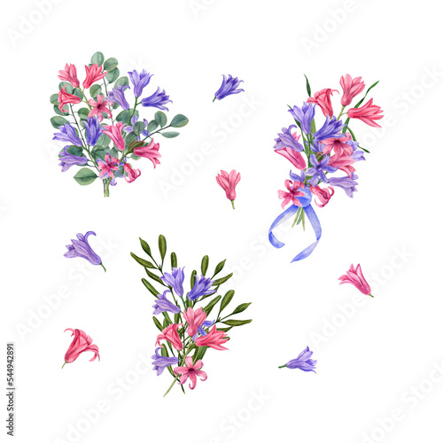 Set of watercolor botanical illustration of hyacinth. Hyacinth isolated on a white background. Watercolor elements for Valentine's day, wedding invitation, birthday and mother’s day cards, prints and 