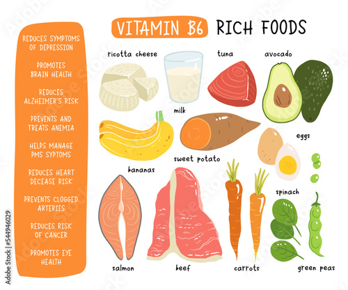 Vitamin b6 vector stock illustration. Food products with a high content of the vitamin b6. sweet potato, ricotta cheese, milk, salmon, tuna, avocado, spinach, eggs, carrots, beef, green peas. banana