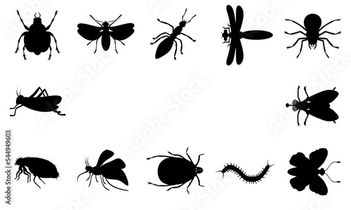 Foto Collage. Black insects on a white background.