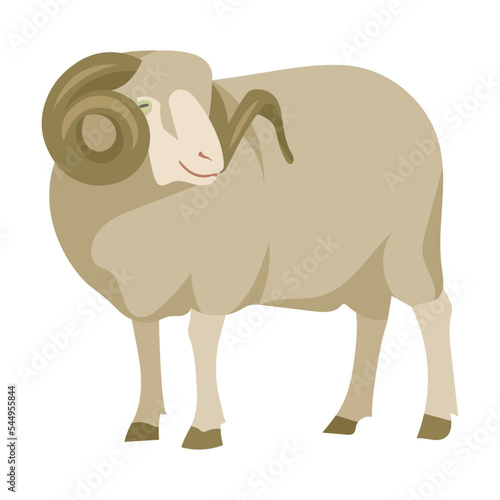 Cartoon domestic animal vector illustration. Farm animal sheep isolated on white background. Domestic animals  pets  farming  concept