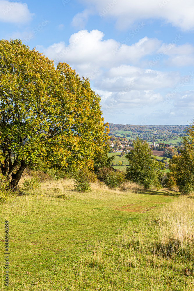 Painswick from the Cotswold Way National Trail long distance footpath in autumn at Rudge Hill, Edge Common, Gloucestershire UK