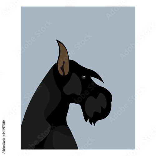 Giant Schnauzer on a blue background. Vector image. Logo.