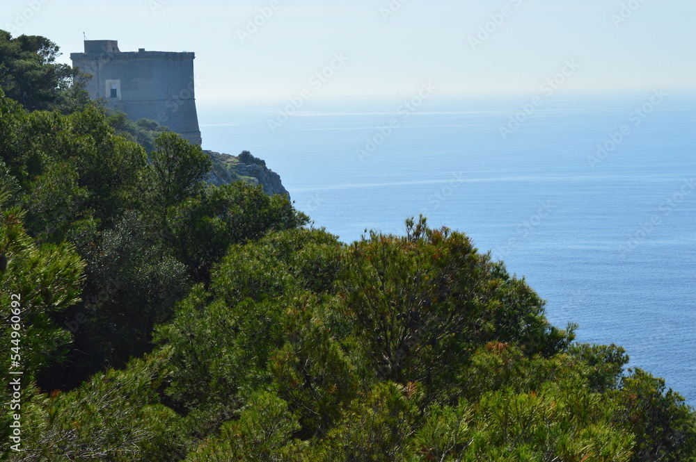 panorama of the coast and the tower of Porto Selvaggio