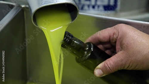 The process of olive cleaning and defoliation in a modern italian oil mill. Oil Production. Fresh extra virgin olive oil photo