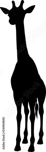Giraffe Animal Silhouette