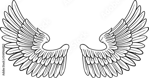 Pair of Angel or Eagle Bird...