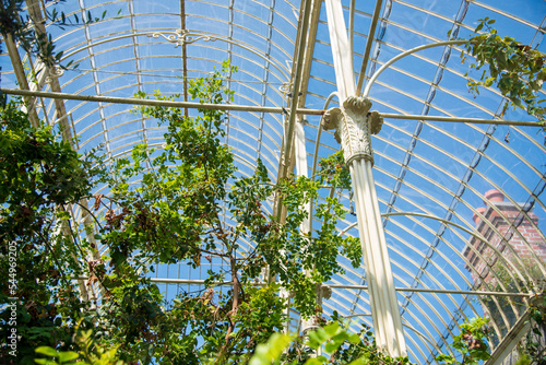 Photography Botanical Gardens of Ireland