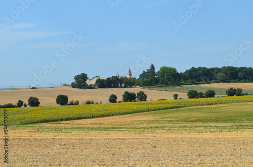 Paysage de la Charente (Nouvelle-Aquitaine - France)