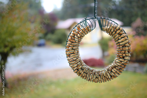Fotografija Hanging bird feeder wreath outside of window on rainy day