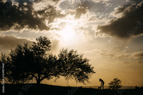 silhouette of a woman playing with a dog at sunset, next to a big tree in a field. © Bostan Natalia