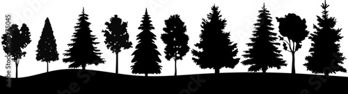 Bilde på lerret silhouette forest with trees and fir trees black vector
