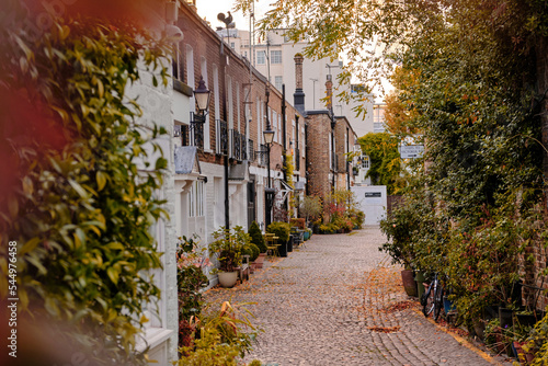 London, UK - 22 October 2022. Kynance Mews in the Royal Borough of Kensington and Chelsea. Autumnal foliage on the outside of buildings. photo