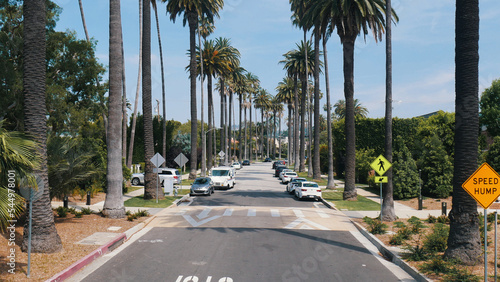 Road with palm trees in Beverly Hills