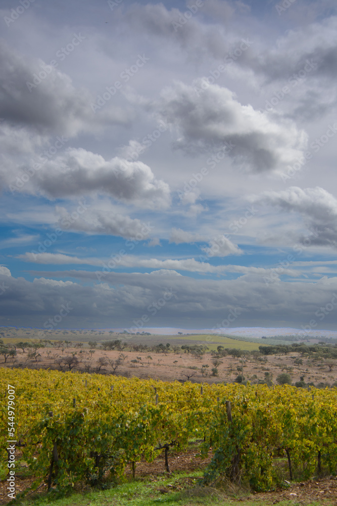 A visit to a vineyard in the Alentejo region of Portugal