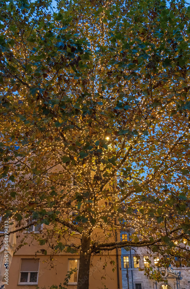 Baum mit Lichterkette