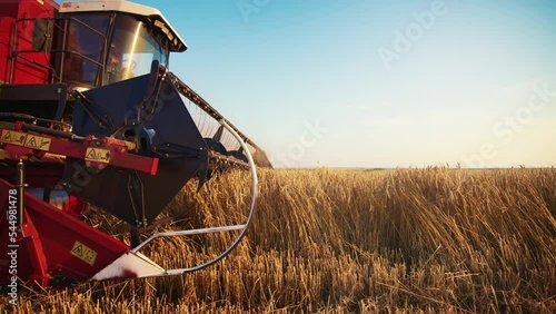Wheat harvest concept. Combine harvester gathers the wheat crop. Harvester machine harvesting golden ripe wheat field on an agricultural field at sunset. Industry agriculture food production.