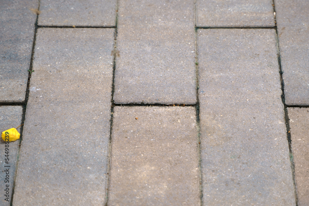 Close-up photo of a tile. Walkway pavement in autumn park