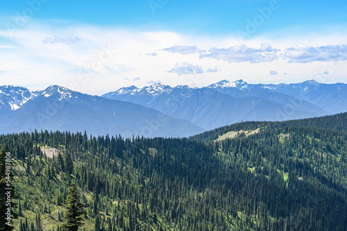 mountain vista © Purple Shamrock
