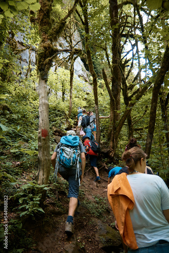 a group of tourists climbs up forest trail, dense forest, hiking in mountains, green forest, back view, behind