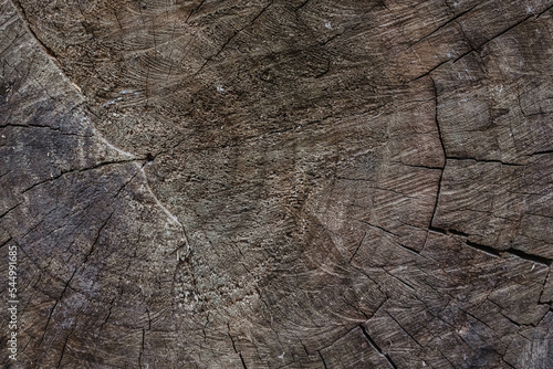 Age rings on the sawn trunk of an old tree. Age rings. The flow of time. Sawn trunk. Old tree. Wood texture. Old tree.