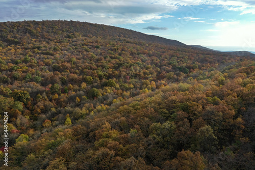 Western Maryland Mountains Forest in Autumn