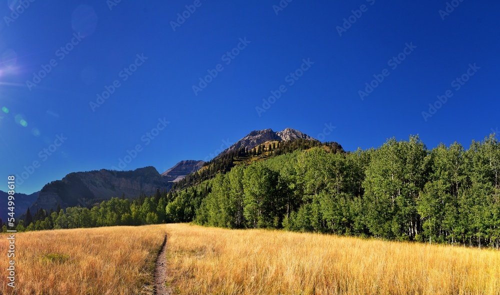 Timpanogos Peak back views hiking Bear Canyon Trail Wasatch Range, Utah. United States.