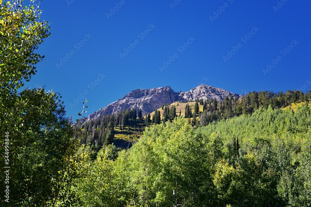 Timpanogos Peak back views hiking Bear Canyon Trail Wasatch Range, Utah. United States. 