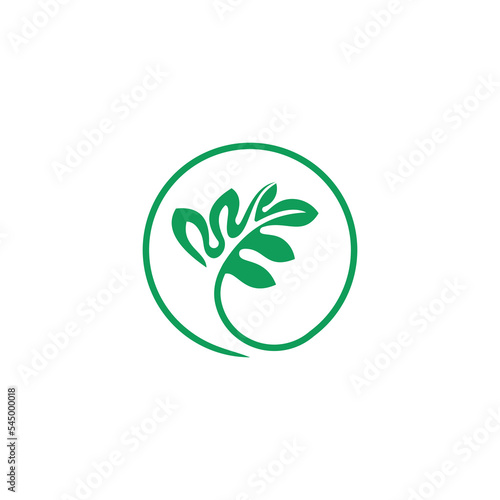vector logo design leaf circle, green tea herbal, natural medicine, sprout with green leafs