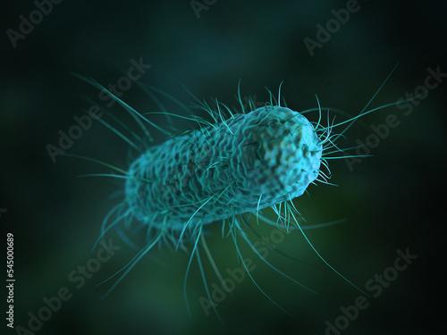 close up of 3d microscopic bacteria cells Escherichia Coli (E. Coli.) under microscope