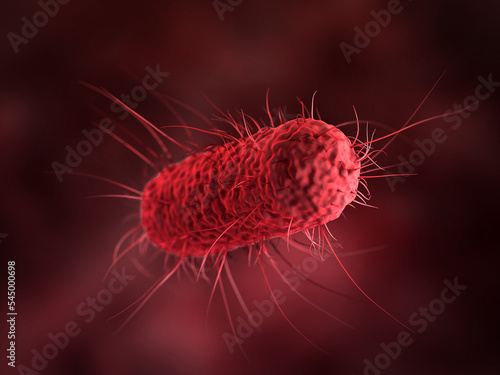 close up of 3d microscopic bacteria cells Escherichia Coli (E. Coli.) under microscope