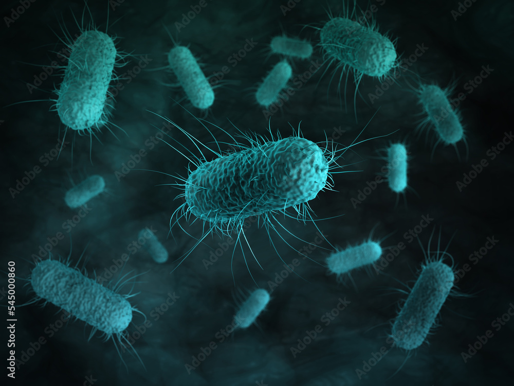 Póster close up of 3d microscopic bacteria cells Escherichia Coli (E ...