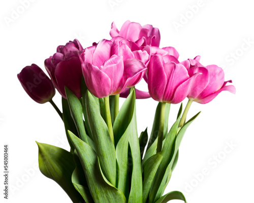 Bright pink tulips bouquet on  background #545003464