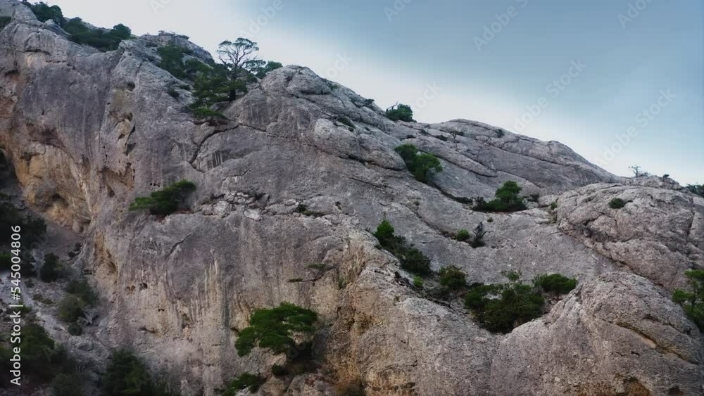 Trees growing in cracks on top of the rock. The erosion of the mountains. Drone aerial shot. Trees growing in cracks on top of the rock. The erosion of the mountains. Drone aerial shot.
