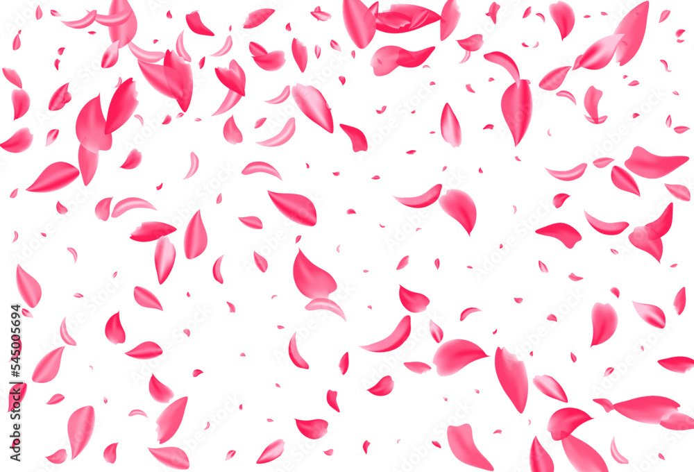 Pink Peach Flying Vector White Background. Fly Pink Peach Flying Vector White Background. Fly