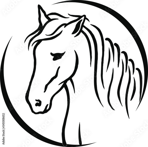 Fototapeta Naklejka Na Ścianę i Meble -  Feminine Beautiful Equestrian Horse Minimalist Outline Logo Icon Mascot Branding