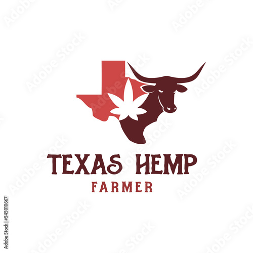 Texas Hemp Farmer logo, Texas Longhorn Buffalo Logo Design