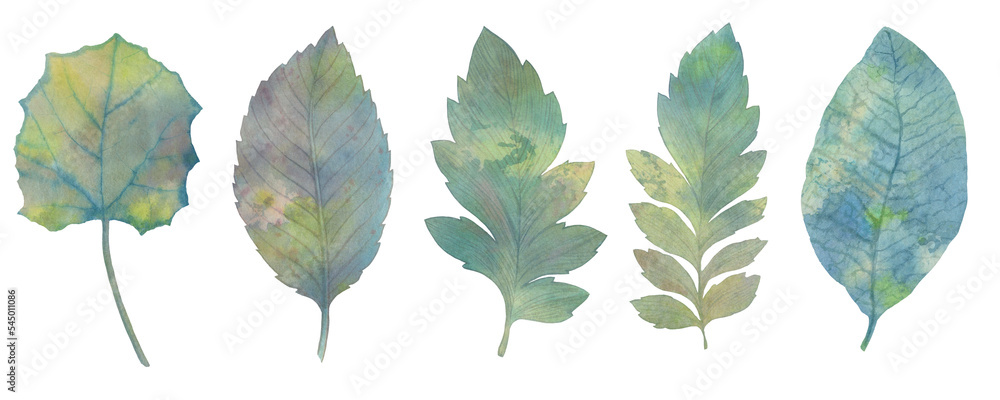 Set of autumn watercolor leaves isolated on white background