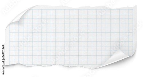 Checkered paper on a transparent background. White note pad paper.