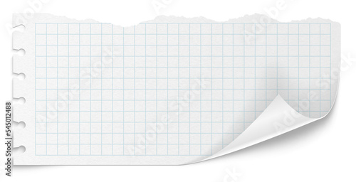 Checkered paper on a transparent background. White note pad paper.