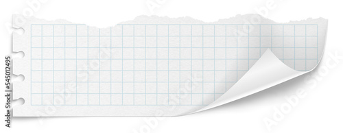 Checkered paper on a transparent background. White note pad paper.