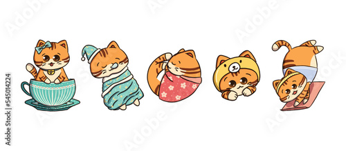 Cat Character Illustration
